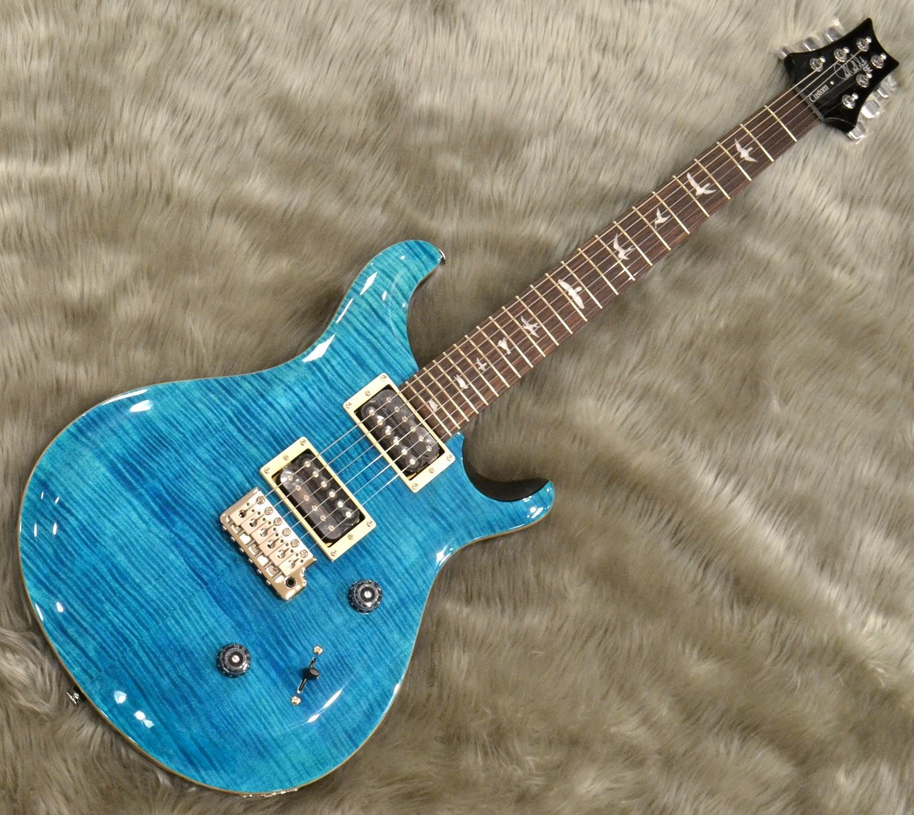 Paul Reed Smith(PRS) SE CUSTOM 24 / Blue Matteo【現物写真】（新品