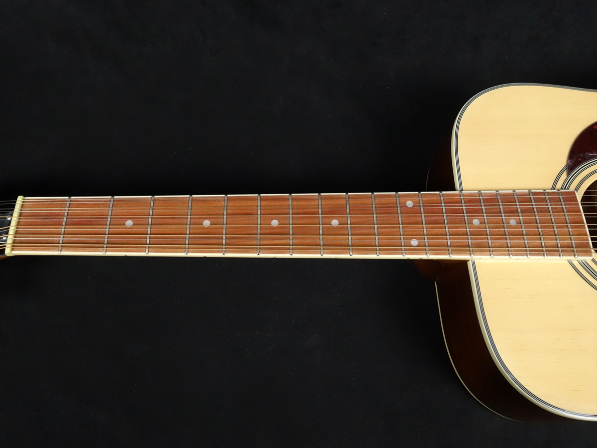 Epiphone Songmaker DR-212 Natural（新品）【楽器検索デジマート】