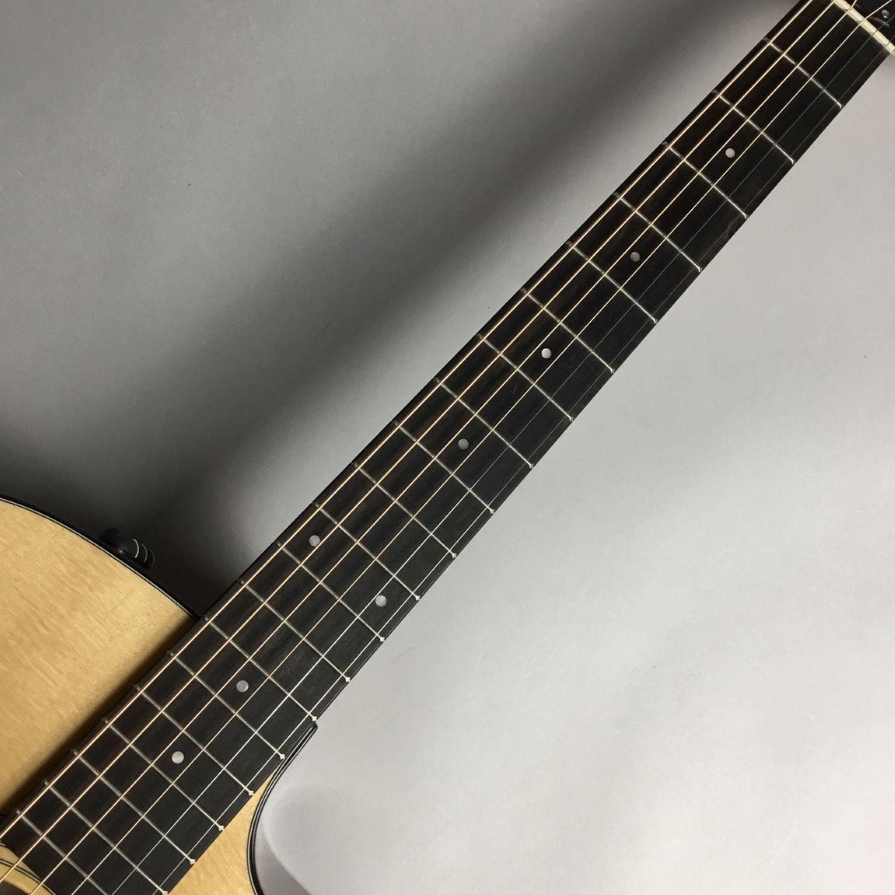 Taylor (テイラー) 210ce Rosewood PLUS【エレアコ】【現物画像