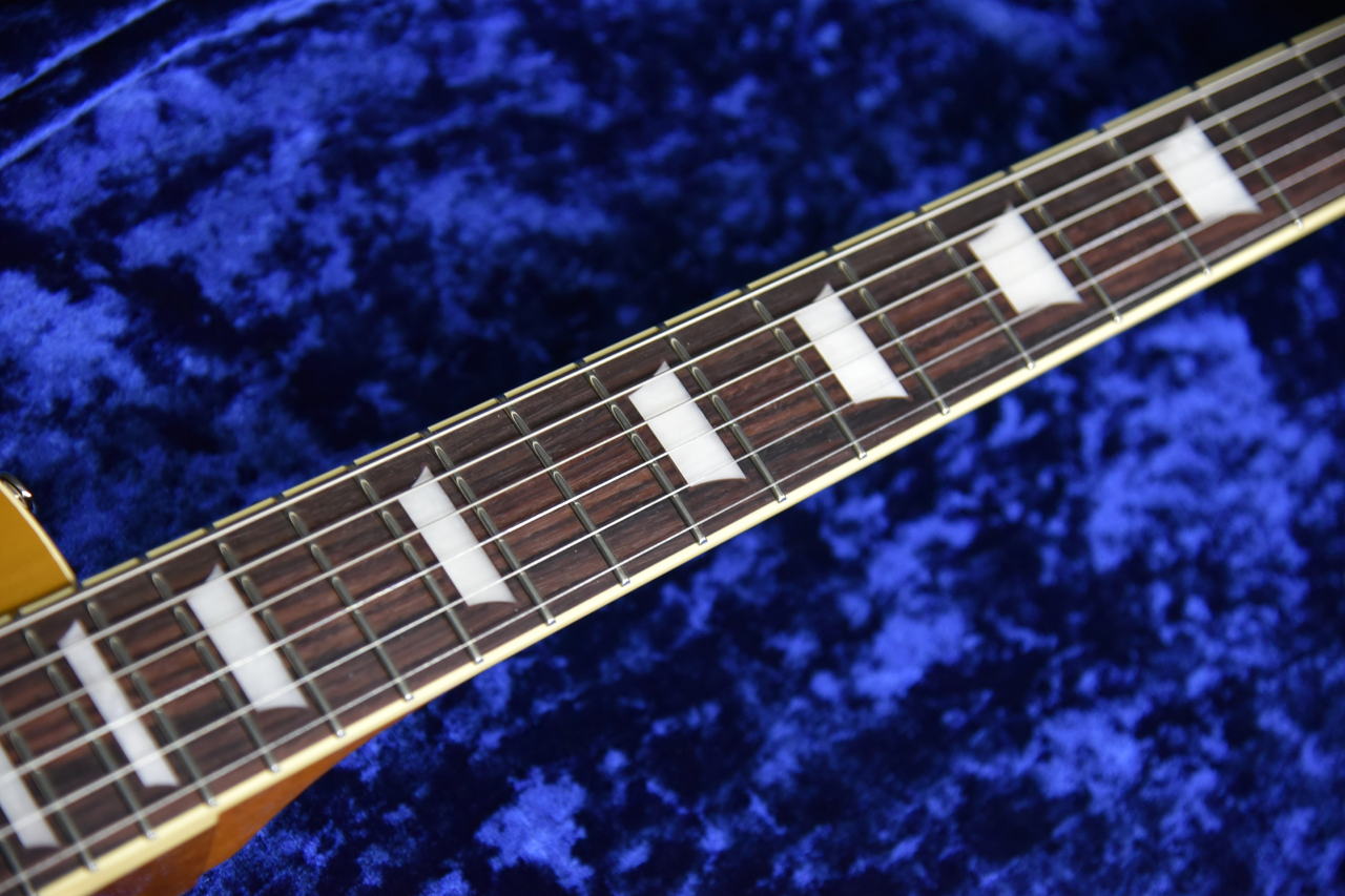 Tokai LS-101S GT Gold Top MADE IN JAPAN（新品）【楽器検索