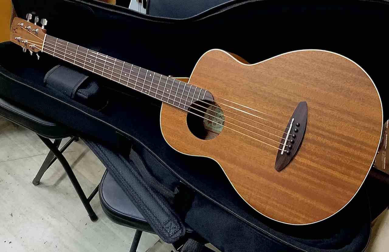 aNueNue aNN-M2 アヌエヌエ M2 ミニギター マイク搭載（新品特価