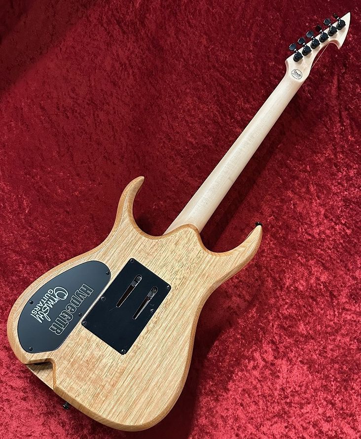 Ormsby Guitars HYPE G6 FLOYD EXO MH WAL【渋谷店】（新品特価