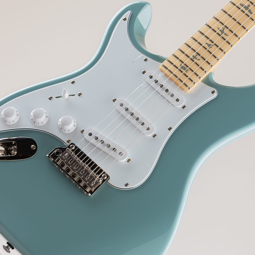 Paul Reed Smith(PRS) SE Silver Sky Rosewood 