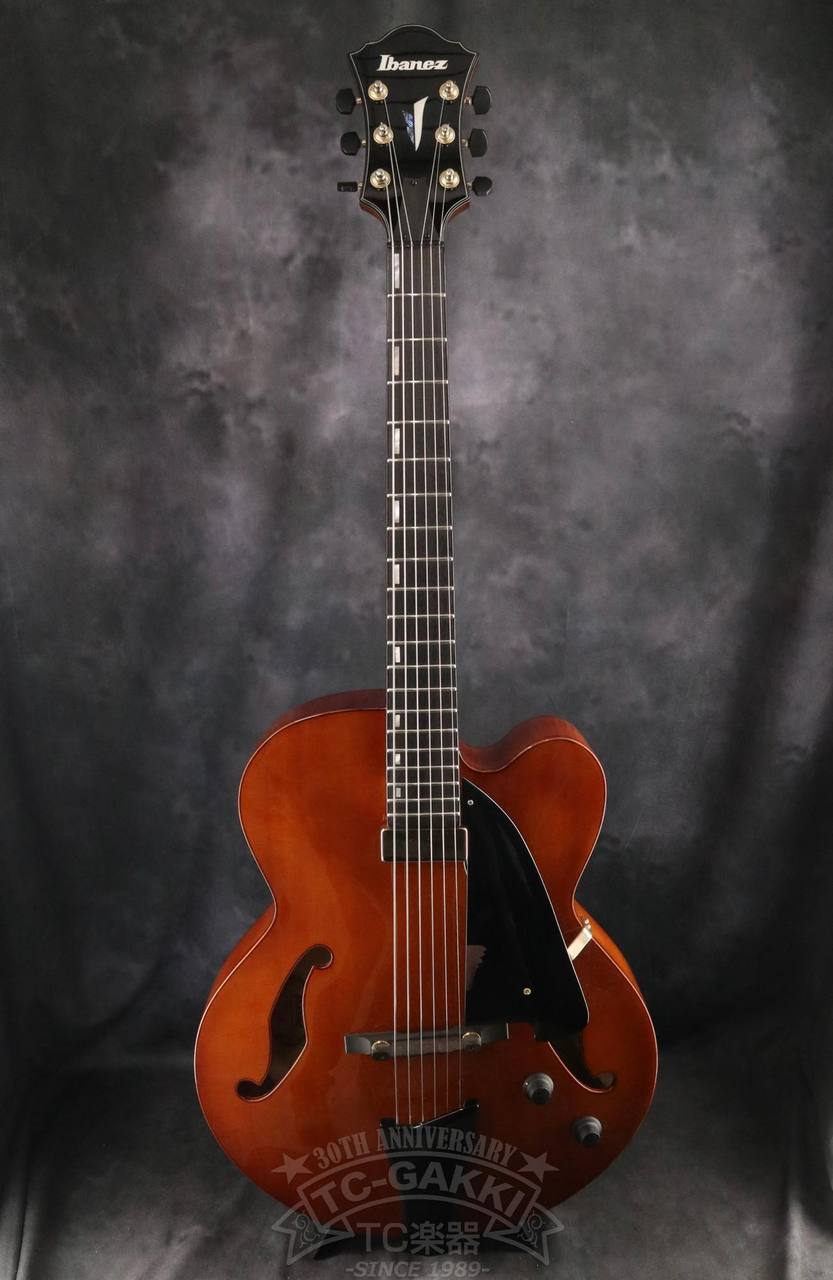 Ibanez AFC151（中古）【楽器検索デジマート】