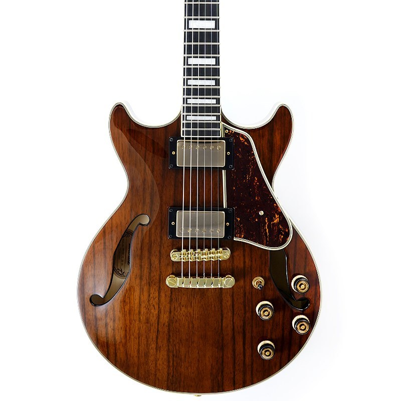 Ibanez Artcore Expressionist AM93ME-NT [SPOT MODEL]（新品）【楽器
