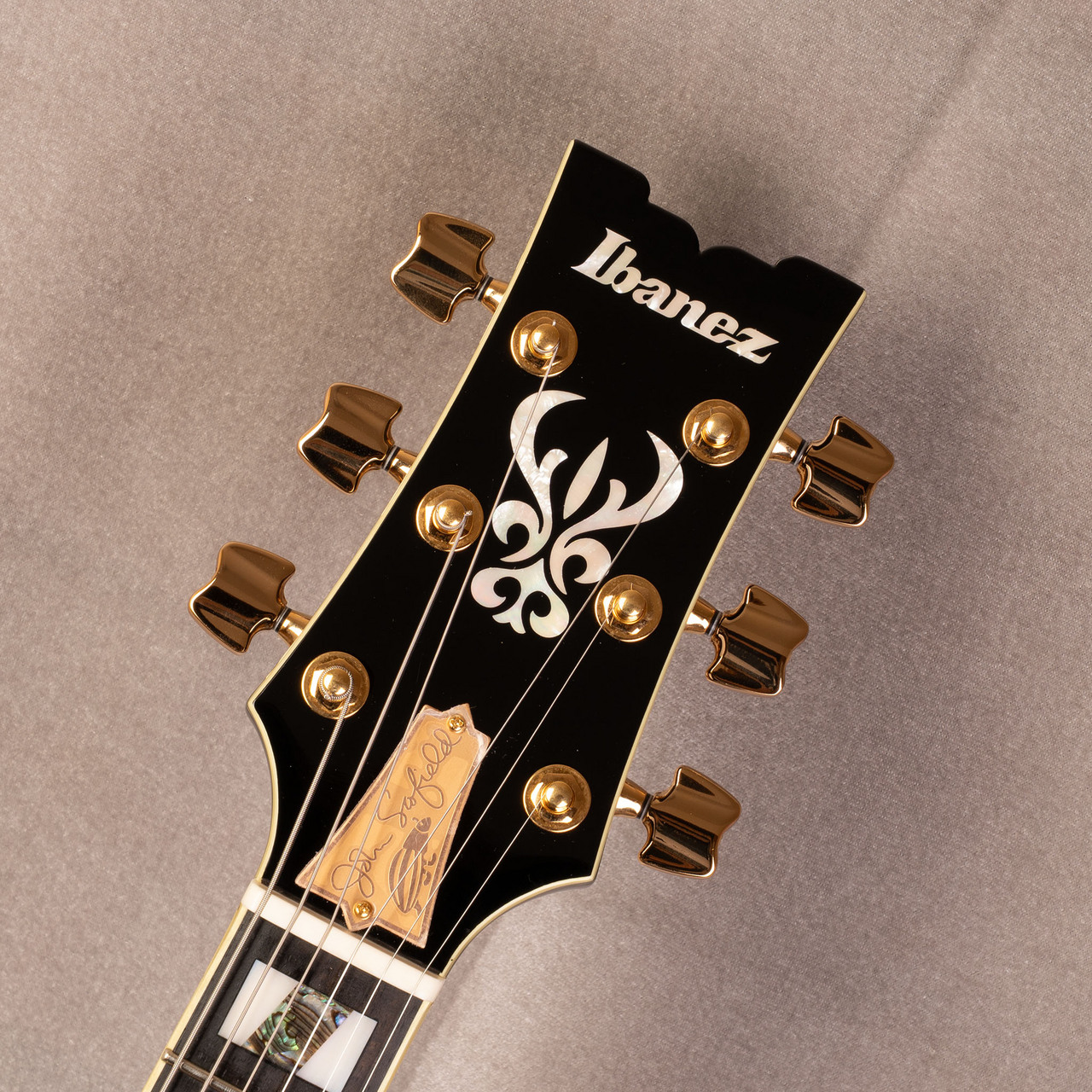 Ibanez JSM20TH-BK John Scofield Signature Guitar 20th