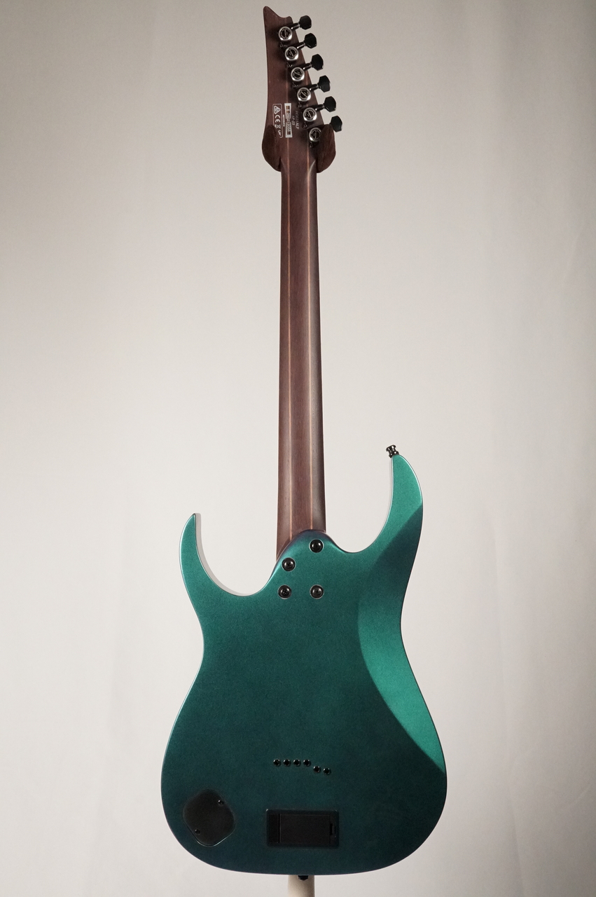 Ibanez 【Fishmanピックアップ搭載】 RG631ALF -Blue Chameleon-（新品