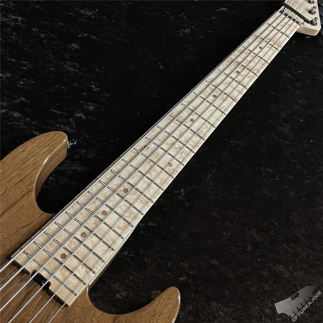 ESP オーダー品 6弦ベース - 弦楽器、ギター