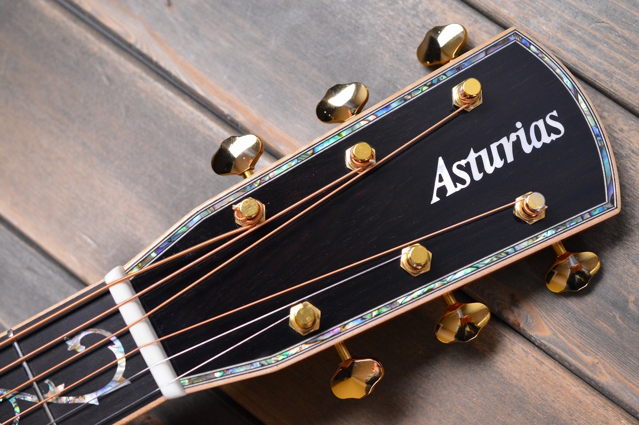 ASTURIAS TREE OF LIFE（新品特価/送料無料）【楽器検索デジマート】