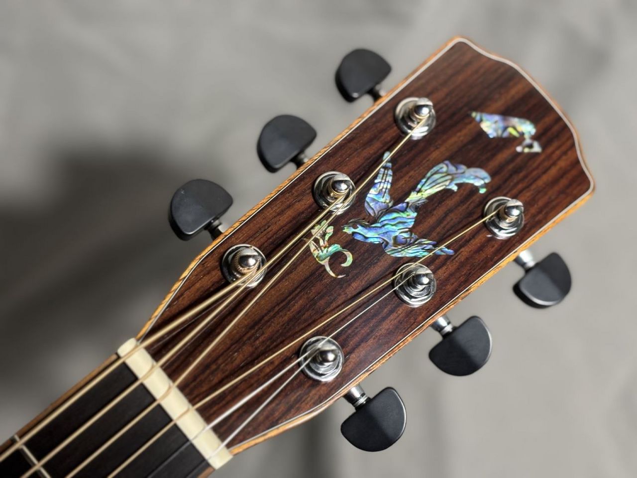 Morris 【新品特価！】S-101III エレアコギターS101 3（新品/送料無料