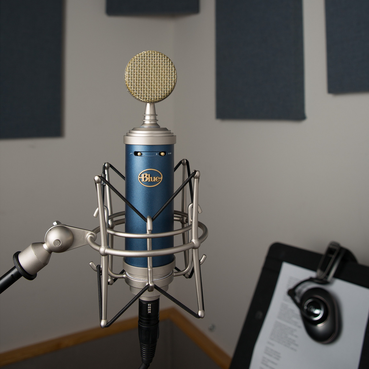 Blue Microphones Bluebird SL 高品質 コンデンサーマイクBM1200 ...