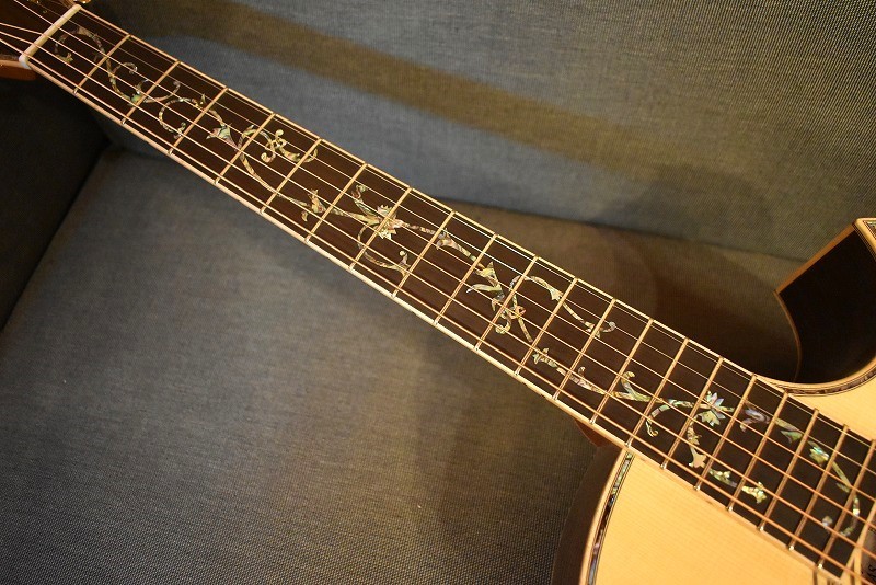 ASTURIAS TREE OF LIFE（新品）【楽器検索デジマート】