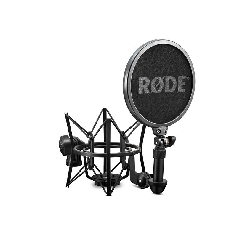 RODE NT2-A(NT2A)（新品/送料無料）【楽器検索デジマート】