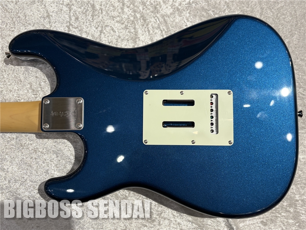 ギター FUJIGEN NST100RAL-OLP FUJIGEN(FGN) Neo Classic NST100RAL / OLP【即納可能】（新品