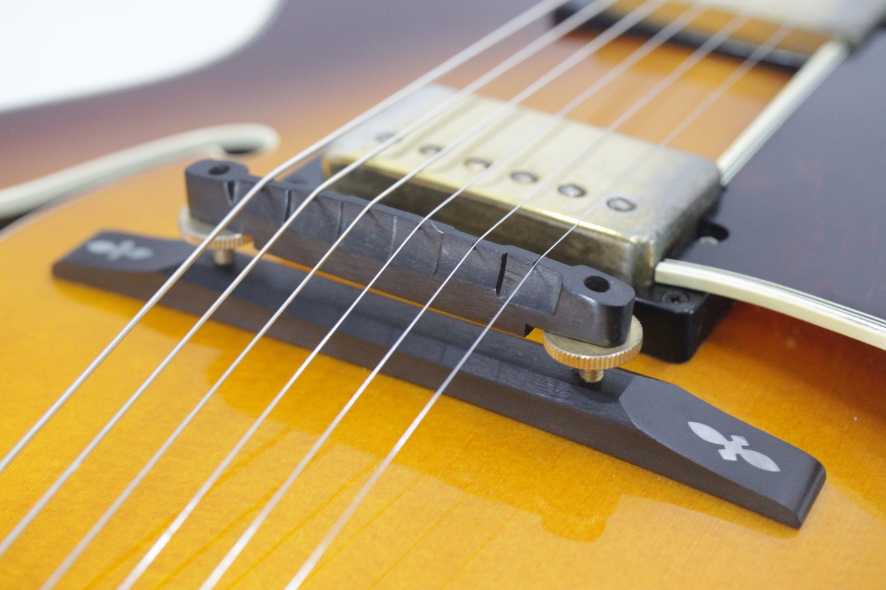 Epiphone EMPEROR（中古）【楽器検索デジマート】