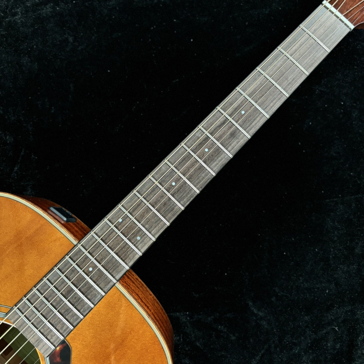 YAMAHA FGX865 T(ティンテッド) アコースティックギター 【エレアコ