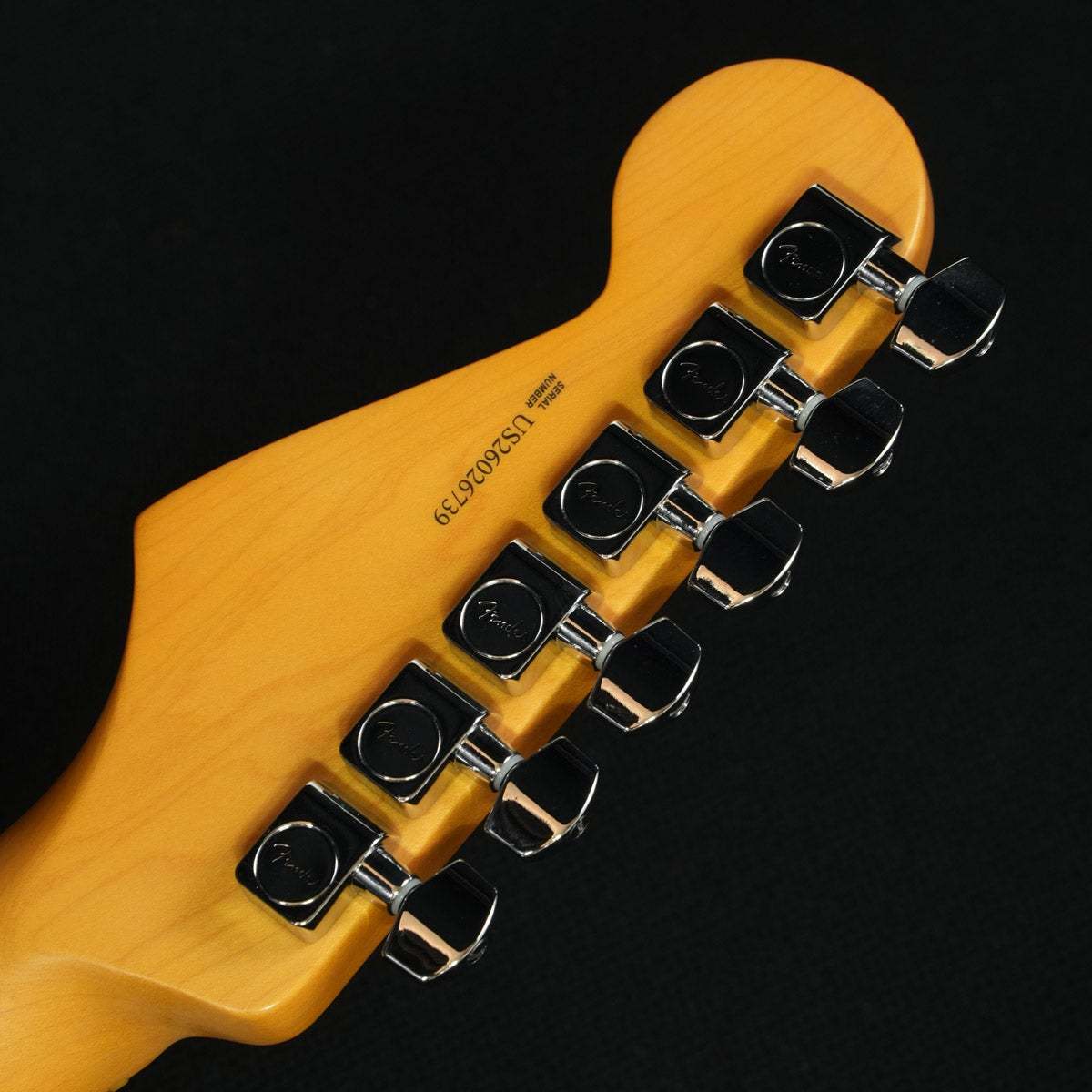 Fender American Professional II Stratocaster Dark Night ≪S/N