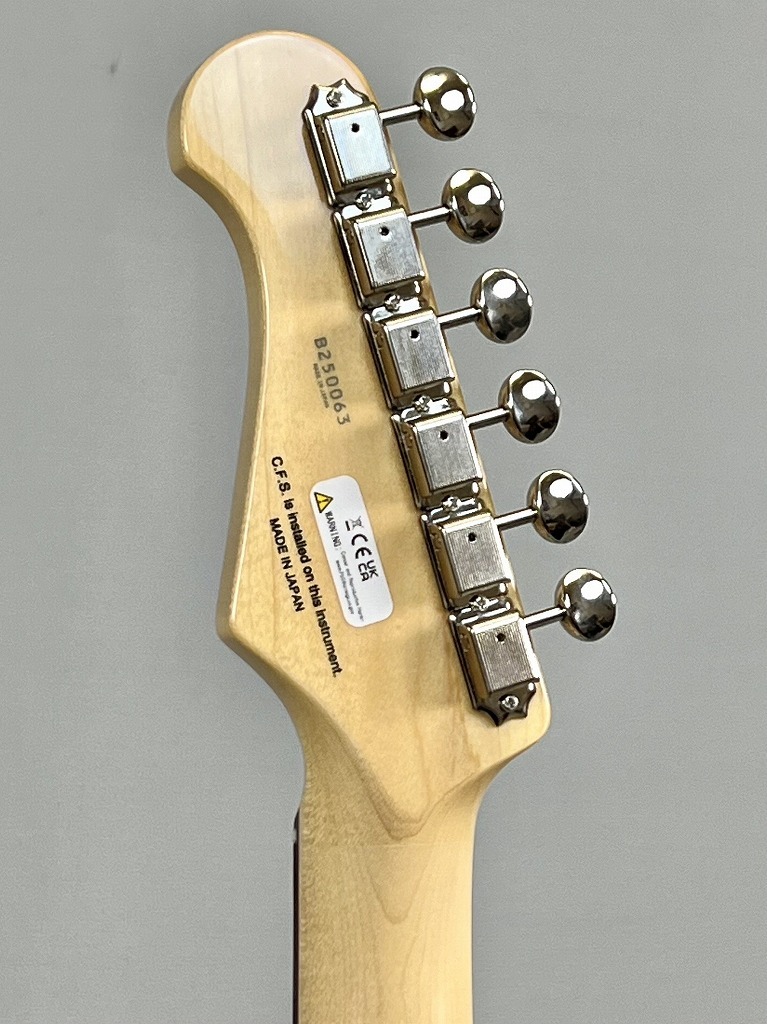 FUJIGEN NTE100RAL-CAG 新品同様 FUJIGEN(FGN) Neo Classic NTE100RAL-CAG (Candy Apple Green