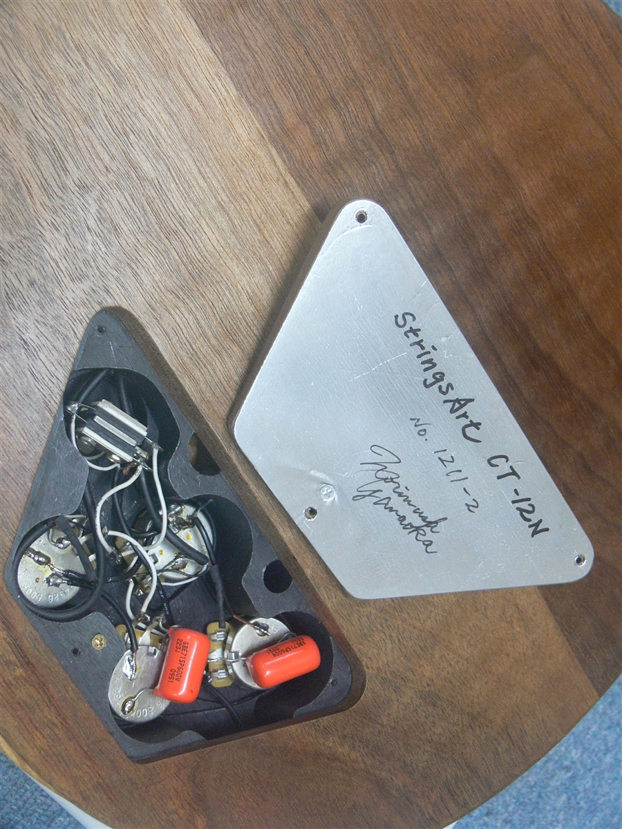 ホビー・楽器・アート yama Yamaoka Guitars StringsArt CT-12N【2012年製】（中古）【楽器検索