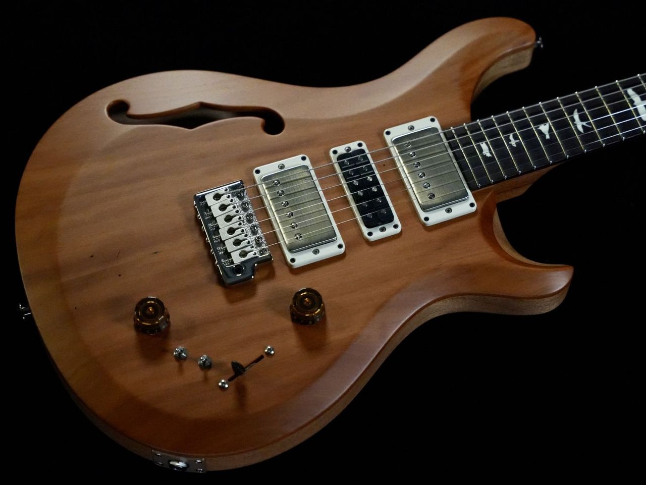 Paul Reed Smith(PRS) S2 Special Semi-Hollow Reclaimed Limited