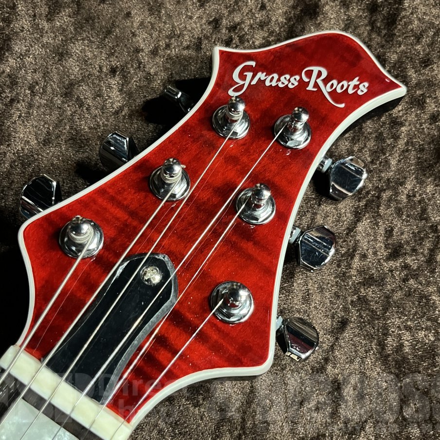 GrassRoots G-MYSTIQUE【Black Cherry】（新品/送料無料）【楽器検索