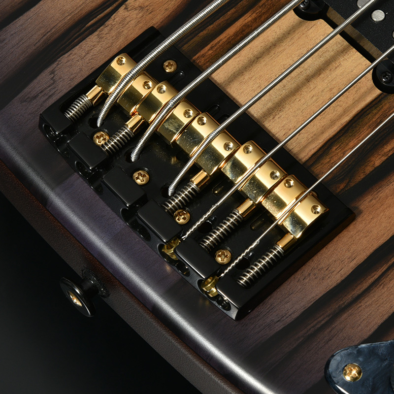 momose MPJ・Five-PE/MH EWC WSE'25 5弦ベース （新品/送料無料