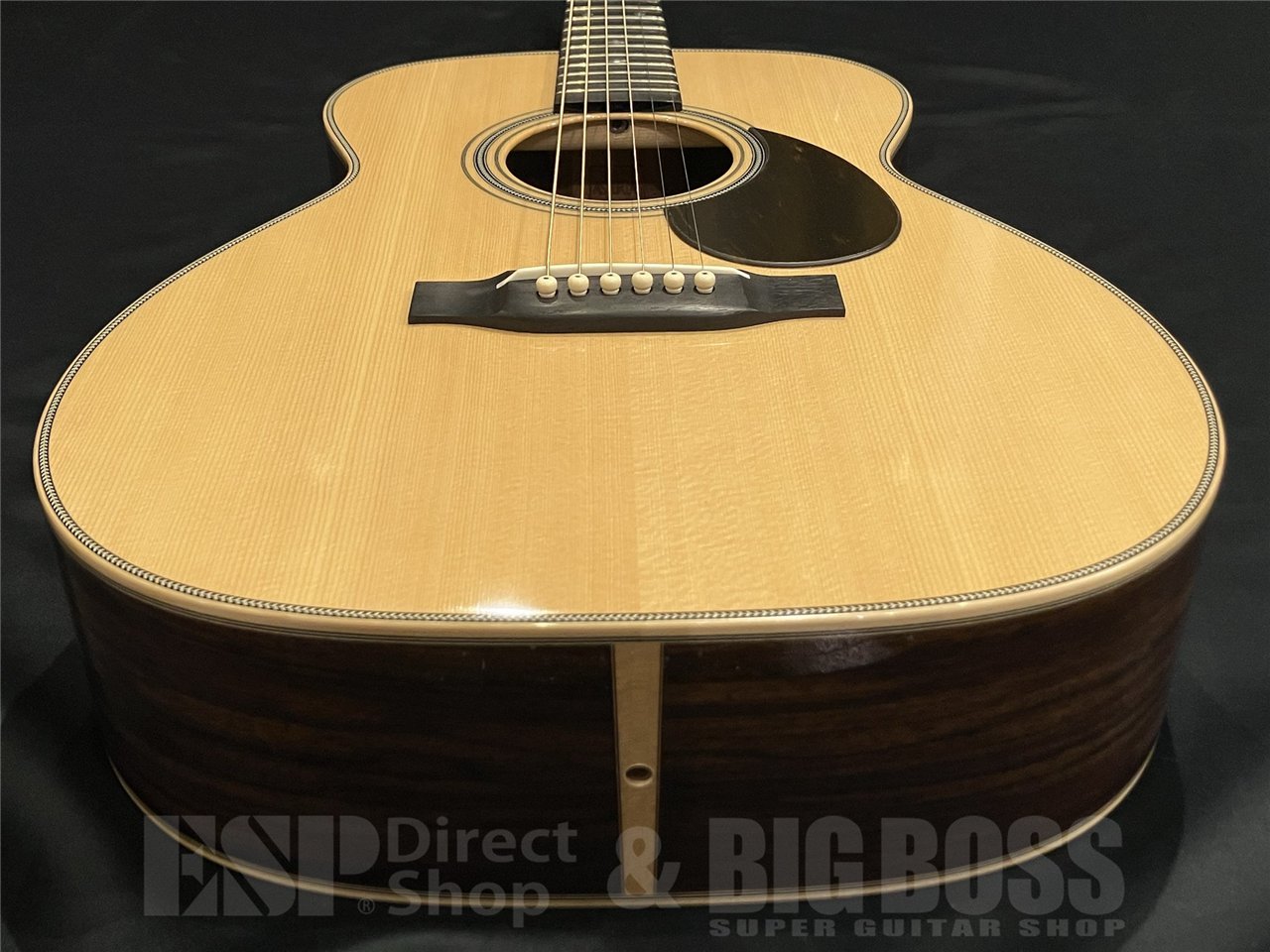 ASTURIAS E.C. CUSTOM 【Limited Model】（新品/送料無料）【楽器検索