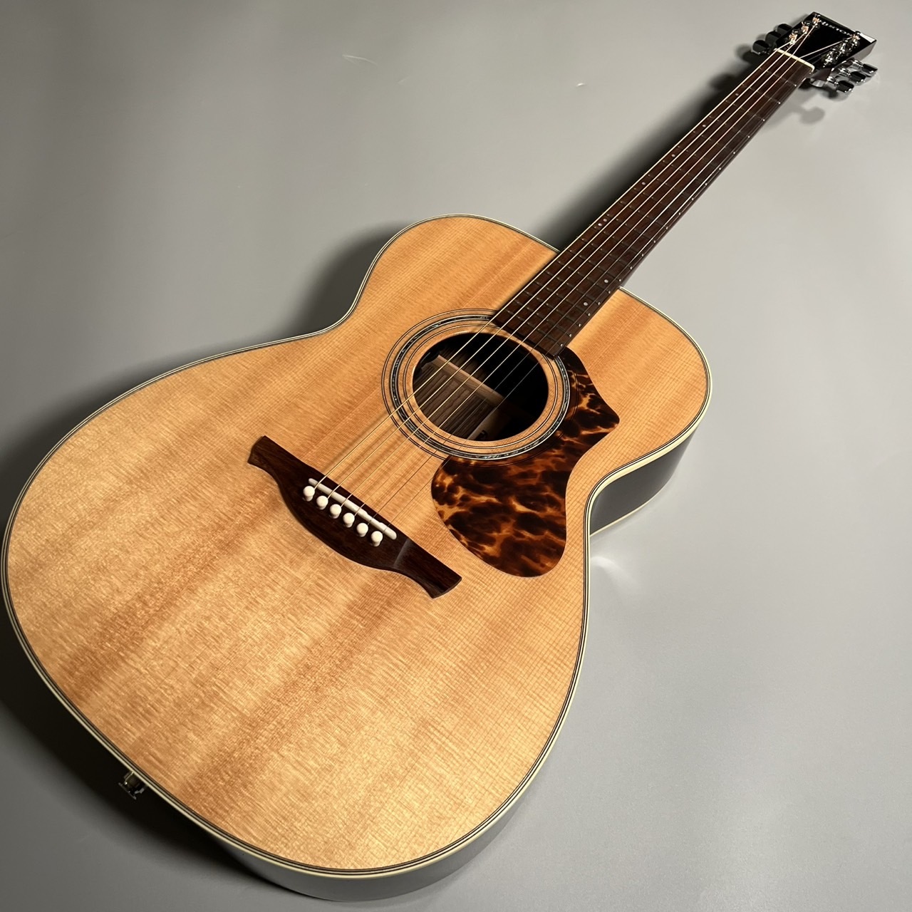 HISTORY アコースティックギター ケース付き History ギター ケース付き HISTORY / ヒストリー