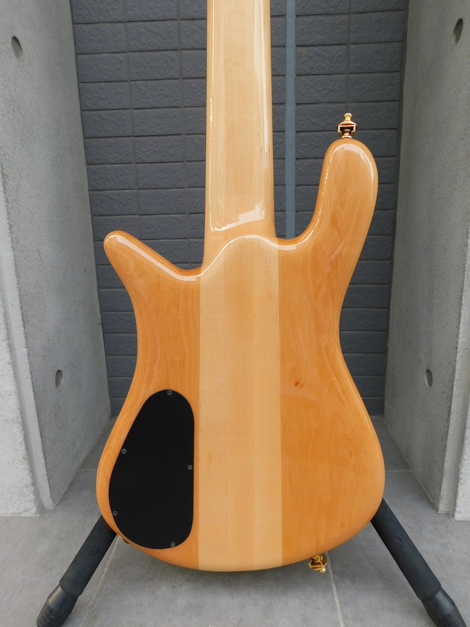 ★Specter スペクター 　アクティブベース Performer Series - Spector Bass