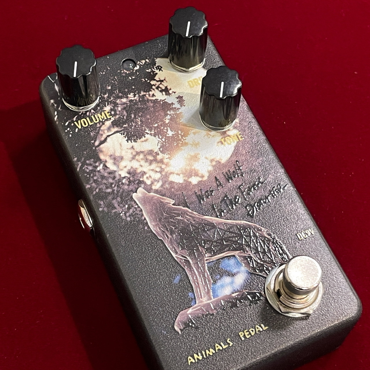 Animals Pedal 036 I Was A Wolf In The Forest Distortion by 朝倉 涼