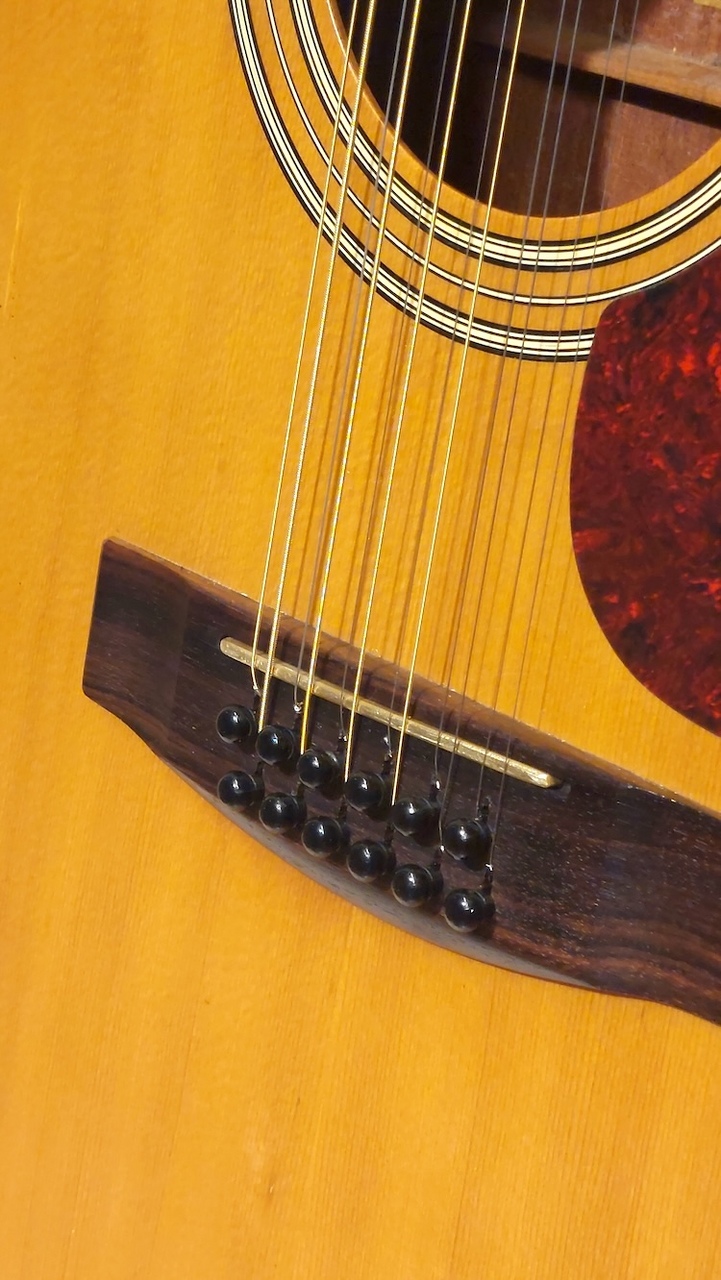 YAMAHA FG-260 12弦ギター レア Vintage Yamaha FG-260 12-String