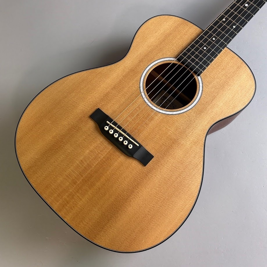 ギター Martin 000JR-10 C.F.Martin 000Jr-10|ドルフィンギターズ