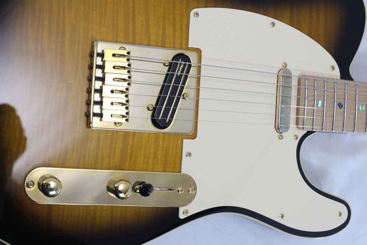 Fender Richie Kotzen テレキャス　2000年製 Fender Richie Kotzen テレキャス 2000年製 Fender Telecaster