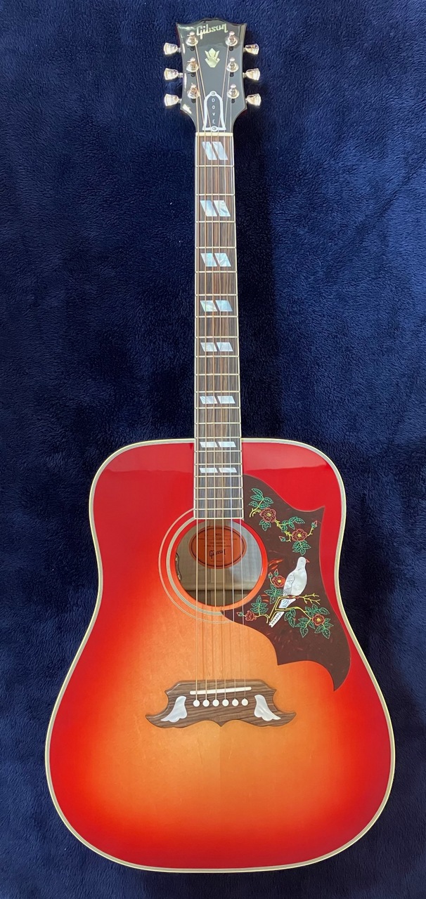 美品 激鳴り！ ジャパンビンテージ DOVE Wピックアップ付エレアコ 美品 激鳴り！ ジャパンビンテージ DOVE Wピックアップ付エレアコ