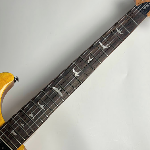 Paul Reed Smith(PRS) SE Custom 22 Semi-Hollow（Santana Yellow