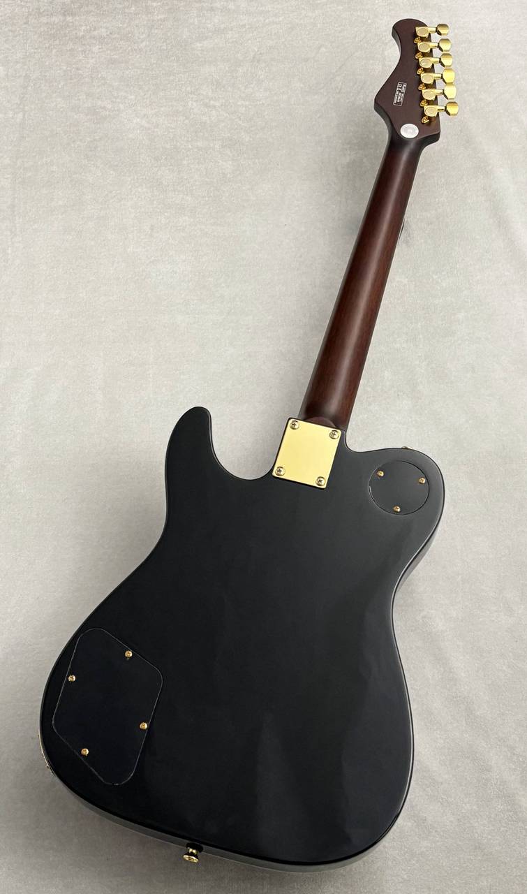 Bacchus BARON-CTM Alnico 美品 Bacchus BARON-CTM Alnico エレキギター バッカス | 島村楽器