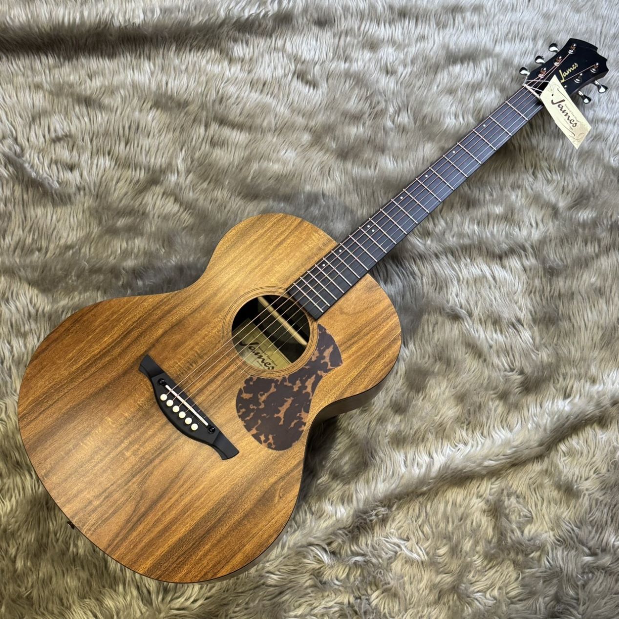 James ジェームス JD400 TBK アコースティックギター ソフトケース