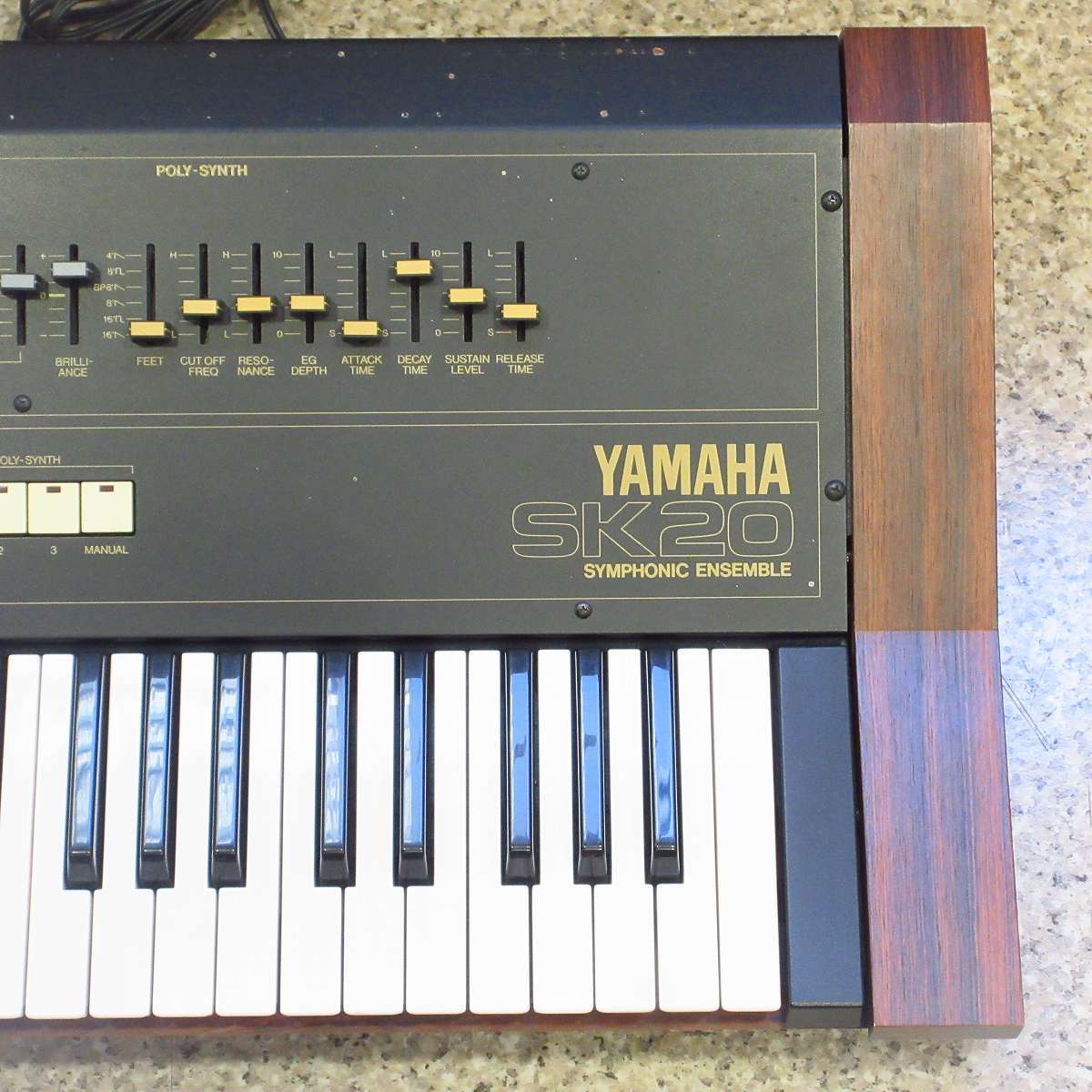 YAMAHA SK20 