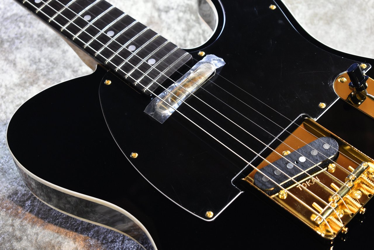 Tokai ATE-101B/G BBR #250619【待望の入荷、漆黒指板、3.81kg】（新品