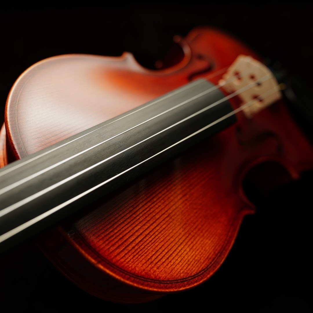 バイオリン アースミュージック 1/2 028【美品】 | www.ibnuumar.sch.id