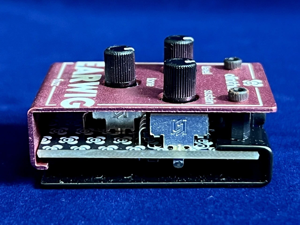 Olinthus EARWIG（新品）【楽器検索デジマート】