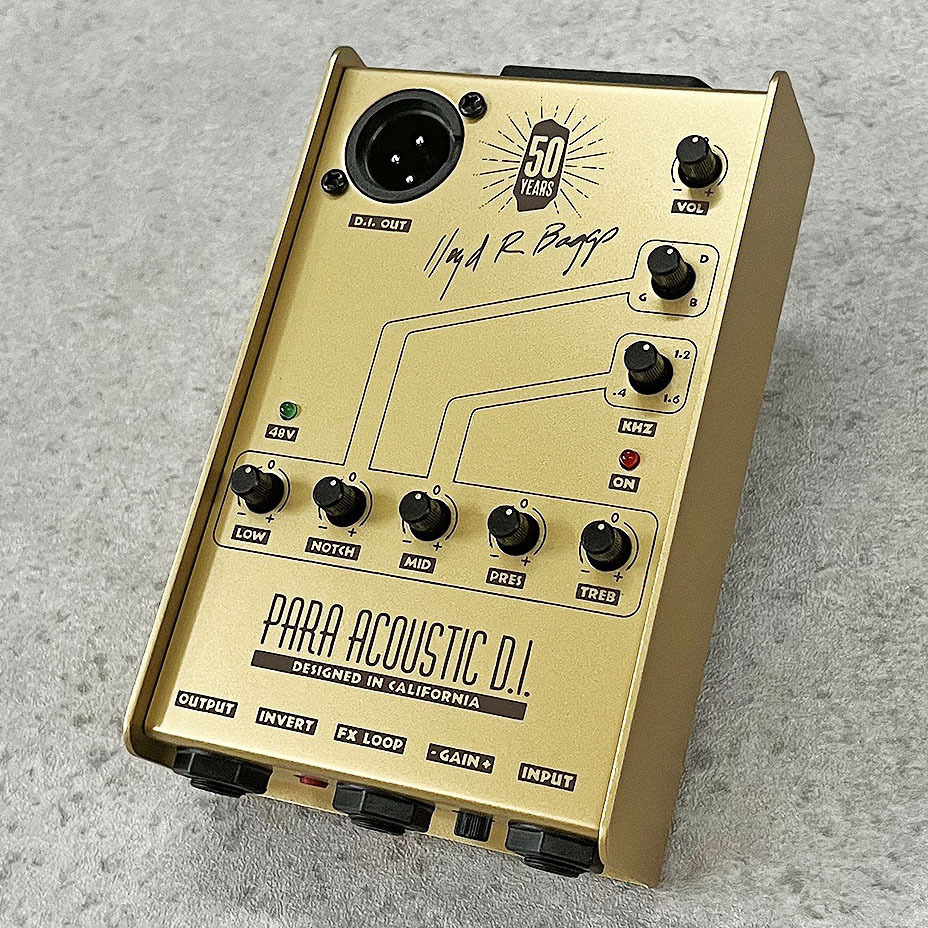 AEG-1 – L.R.Baggs Japan