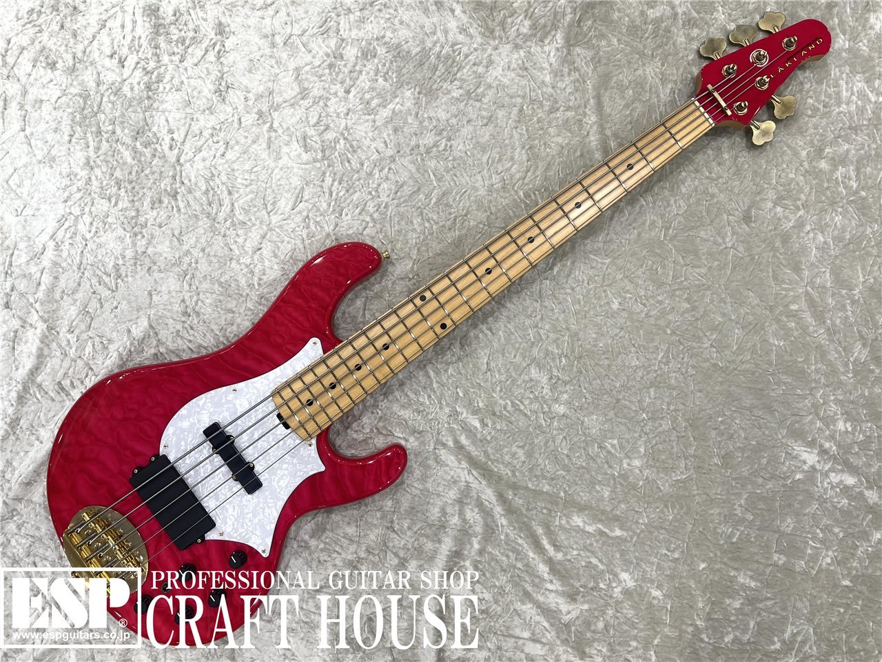 Lakland SL55-69 tetsuya/M（中古/送料無料）【楽器検索デジマート】