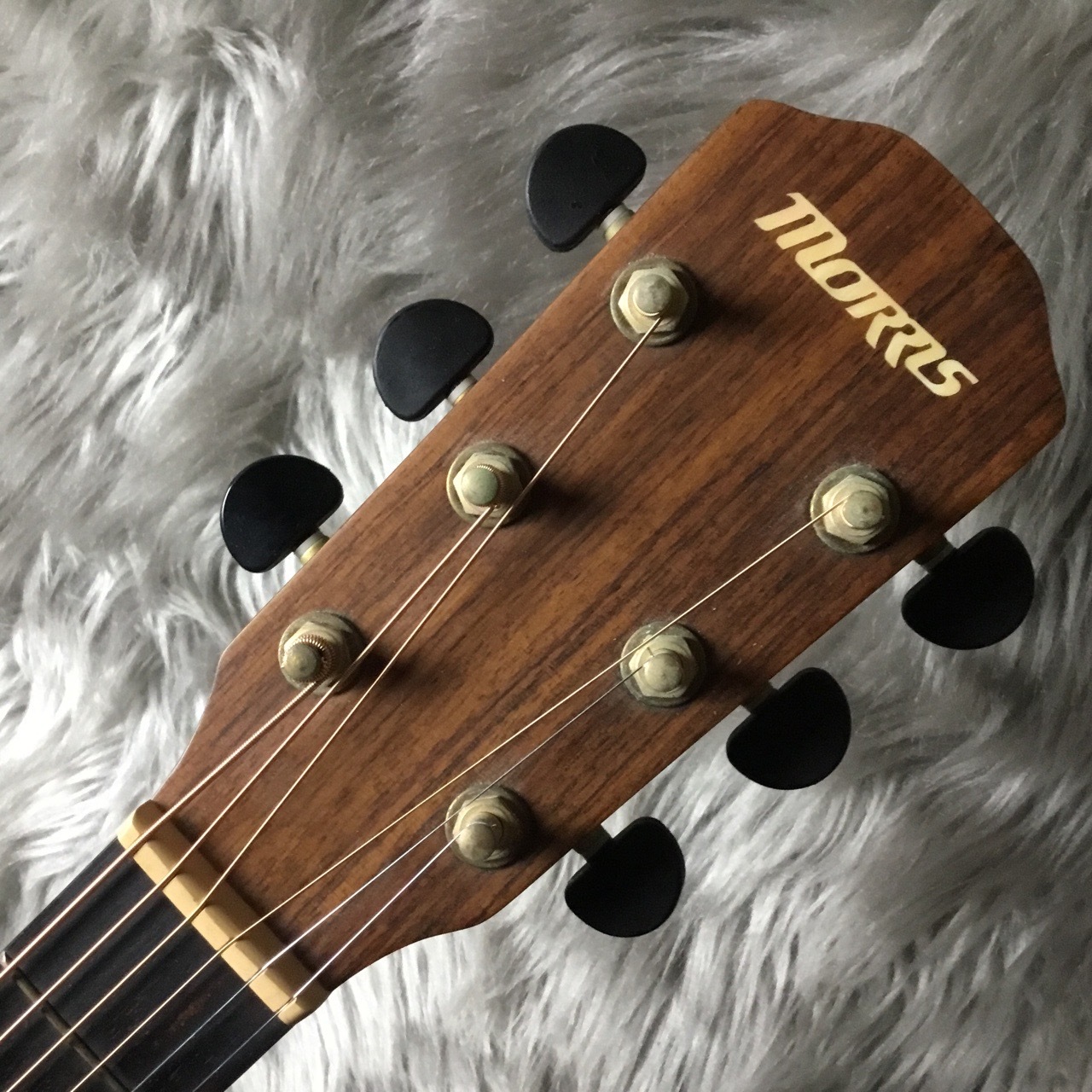2022高い素材 Morris S-30 アコースティックギター アコースティック