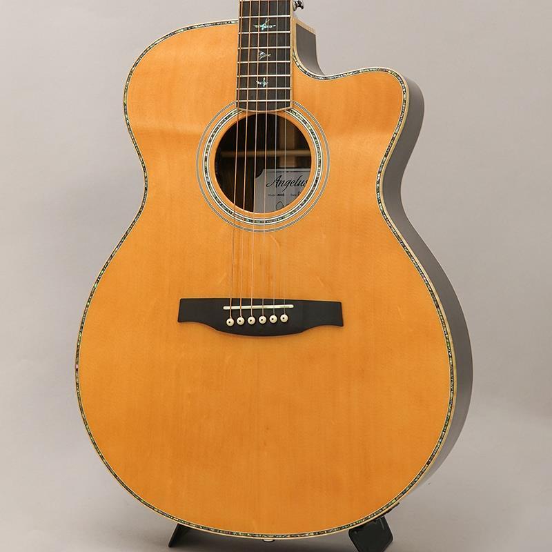 Paul Reed Smith(PRS) 【夏のボーナスセール】USED 中古 SE Angelus
