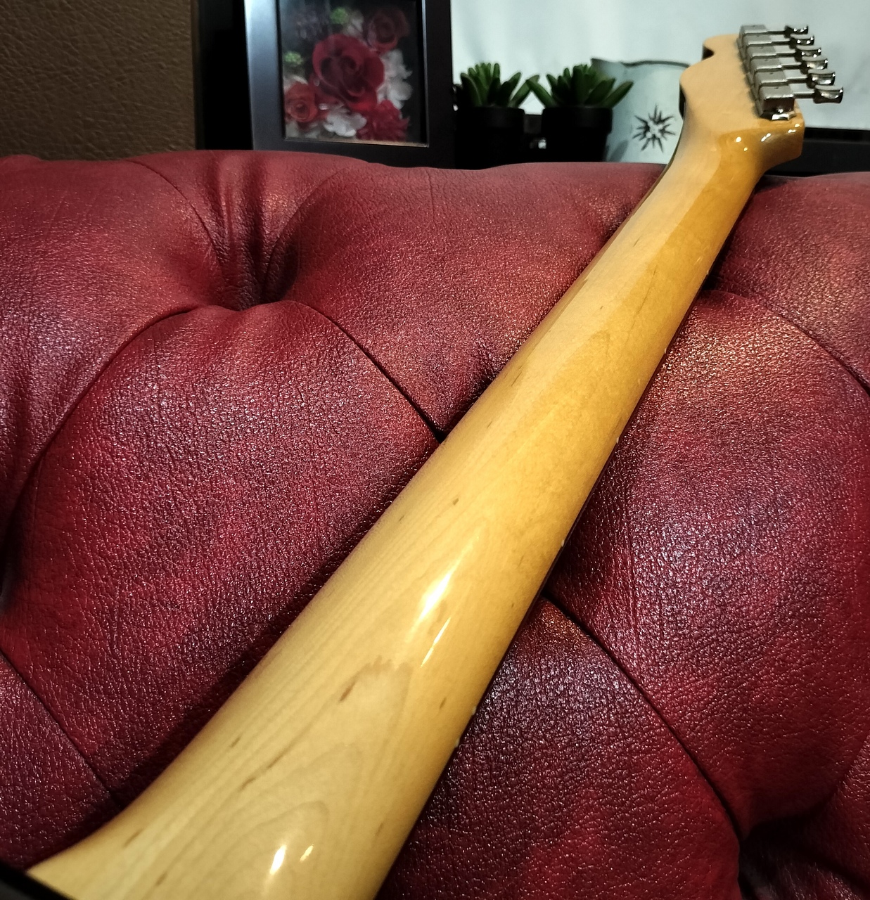 ギター provision VTE-J / ALD Provision VTE-J / ALD（中古）【楽器検索デジマート】