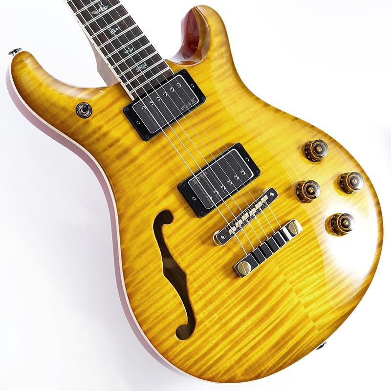 Paul Reed Smith(PRS) Wood Library McCarty 594 Semi-Hollow (McCarty