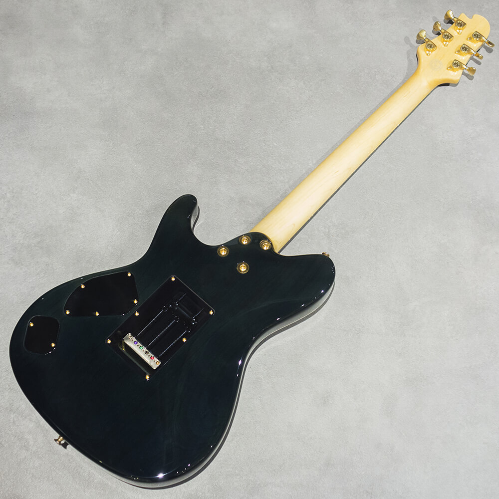 Sugi DH496IR BM-PRM/HM/ALD2P 紅葉 Sugi DS496E BM-PRM/HM/ALD/SBL Gradation【分割48回払いまで金利