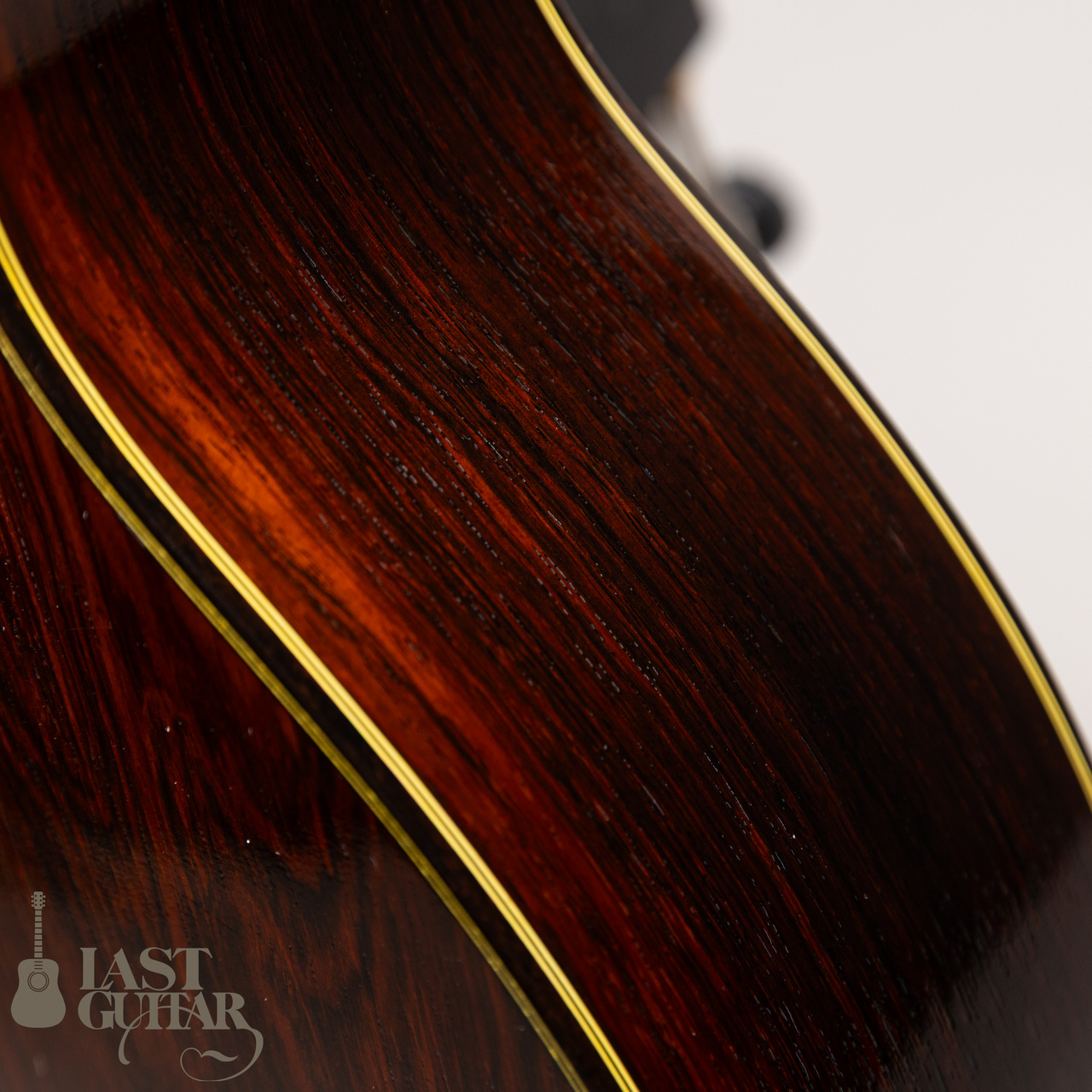 Stringphonic Advanced FV Limited（新品）【楽器検索デジマート】