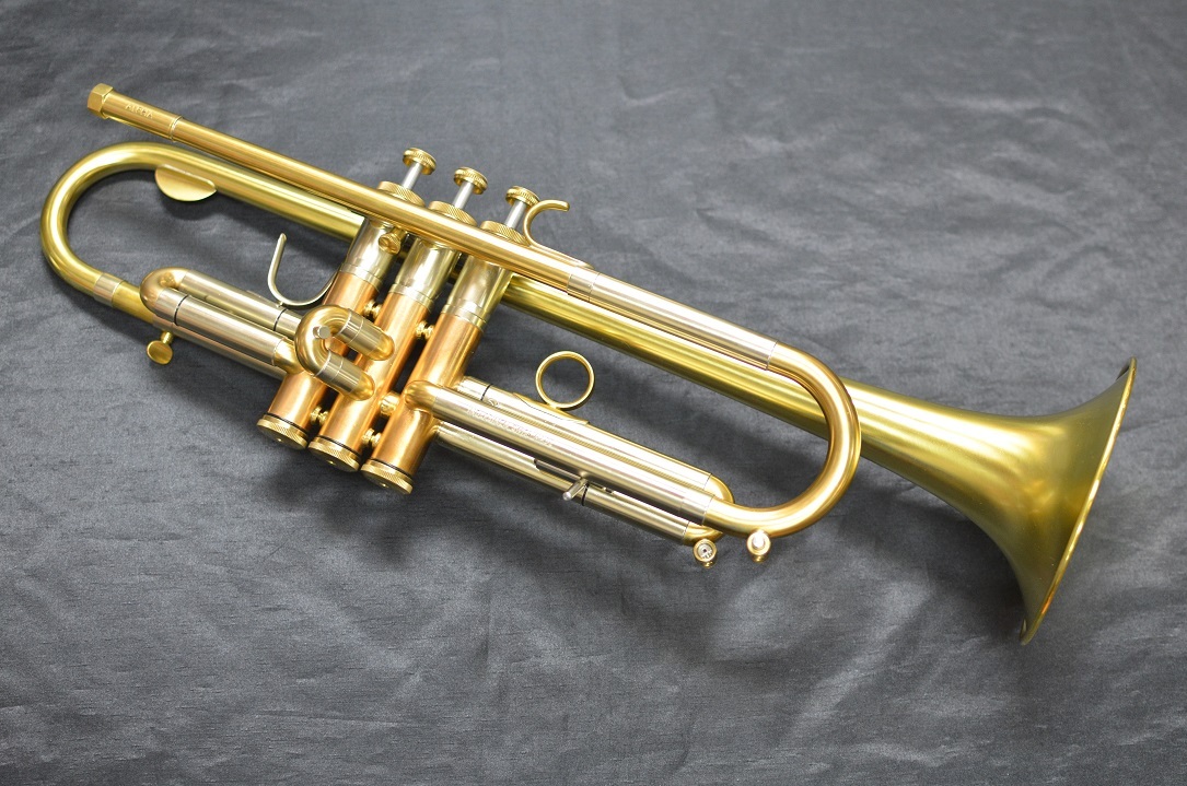 INDERBINEN ALPHA110（新品/送料無料）【楽器検索デジマート】